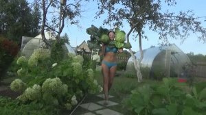 6 соток в конце августа 2019 года.