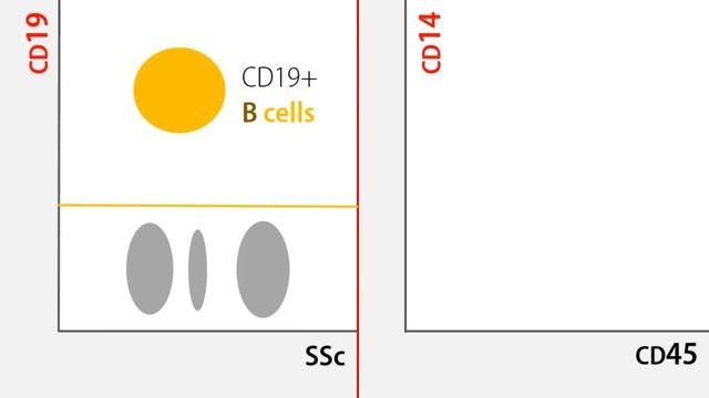 Immunophenotyping of Acute Leukemia - Part 1 of 4 смотреть онлайн