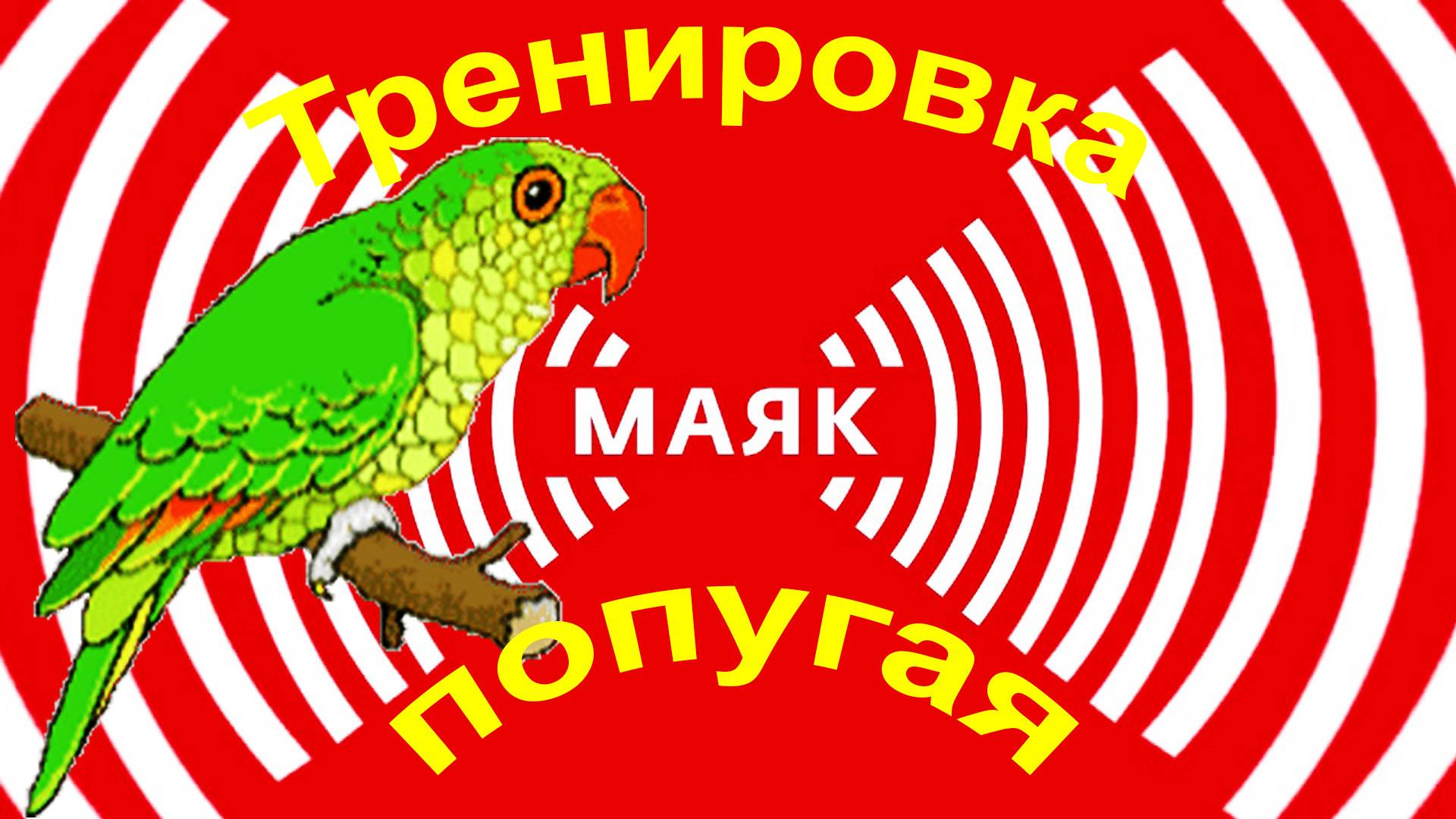 Тренировка попугая смотреть онлайн