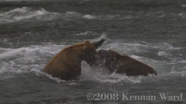 Alaska смотреть онлайн