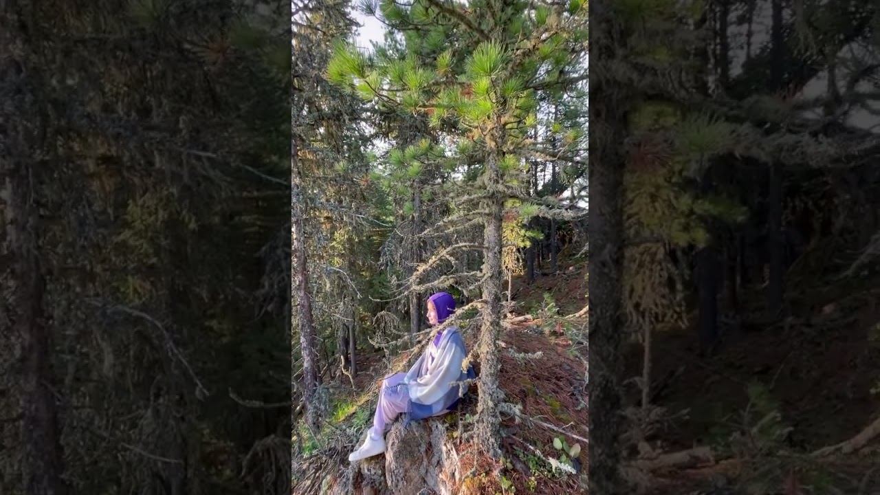 21 января 2024 г. смотреть онлайн