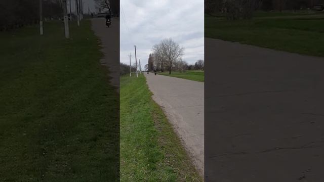sparta lux 125 2019 vs sparta lux 125 2020 vs honda lead 90cc смотреть онлайн