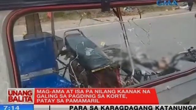 UB: Mag-ama at isa pa nilang kaanak na galing sa pagdinig sa korte, patay sa pamamaril смотреть онлайн