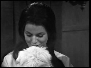 Сага о Форсайтах 18 Дневная дриада