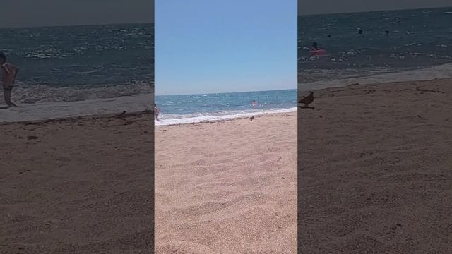 Крым Феодосия штормит смотреть онлайн