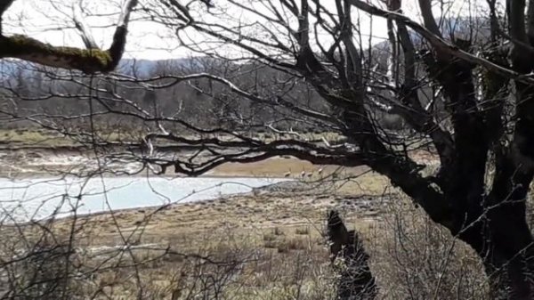 Грузия Ткибули вышел на рыбалку 29.03.2021г.