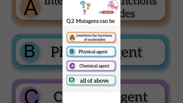 Day 45|| Mutation Q&A || daily questions practice|| смотреть онлайн