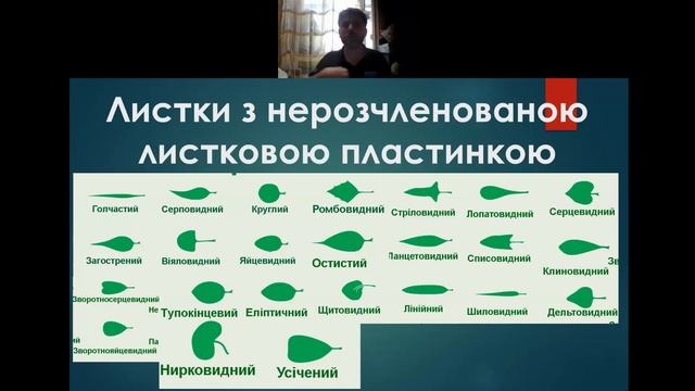 Лекція 3. Листок смотреть онлайн