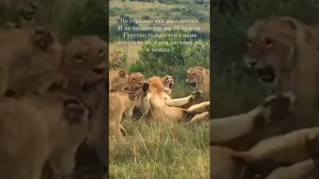 Именно так смотреть онлайн