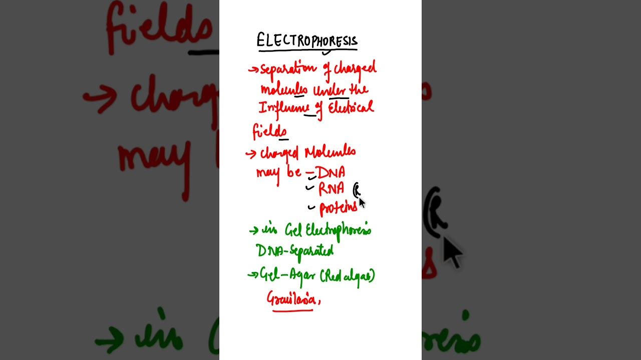 What is Electrophoresis & Gelelectrophoresis #biologyshort смотреть онлайн