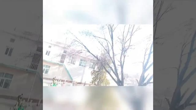 Оранғай ауылы М.Әуезов мектебі смотреть онлайн