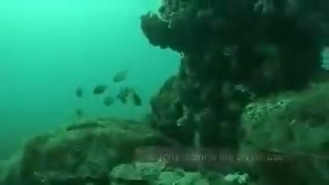 Sea water intake of a Desalination Plant смотреть онлайн