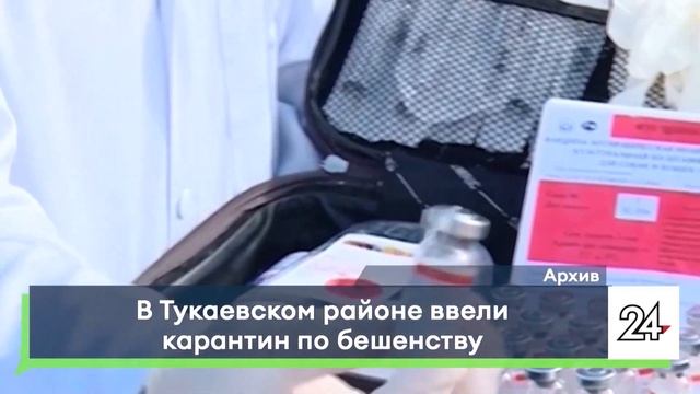 В Тукаевском районе введен карантин по бешенству смотреть онлайн