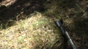 Копаем с Алексом Штальхельмом