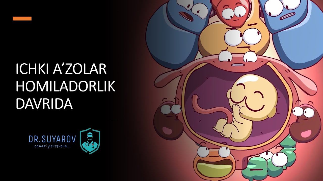 Ichki A'zolar Homiladorlik Davrida