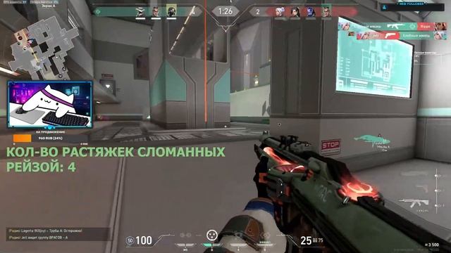 САЙФЕР ВСЁ ЕЩЁ СИЛЁН смотреть онлайн