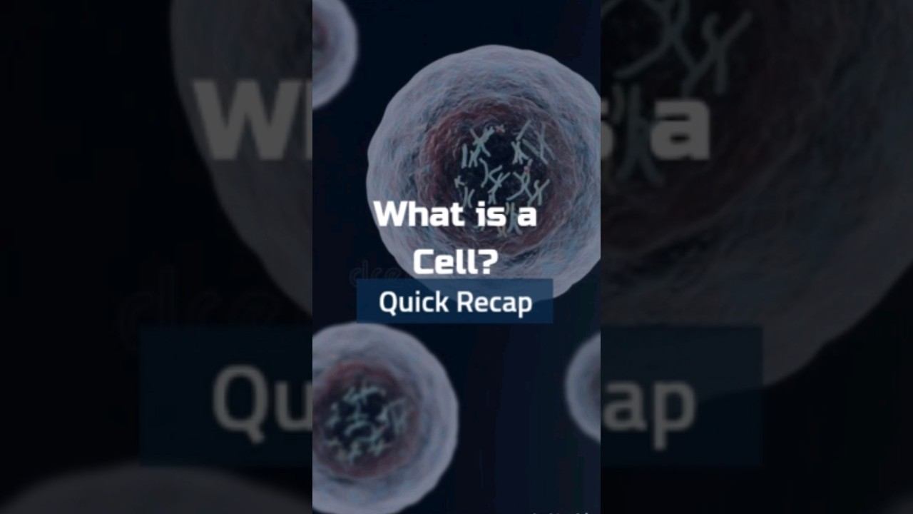 Biology - What is a Cell? смотреть онлайн