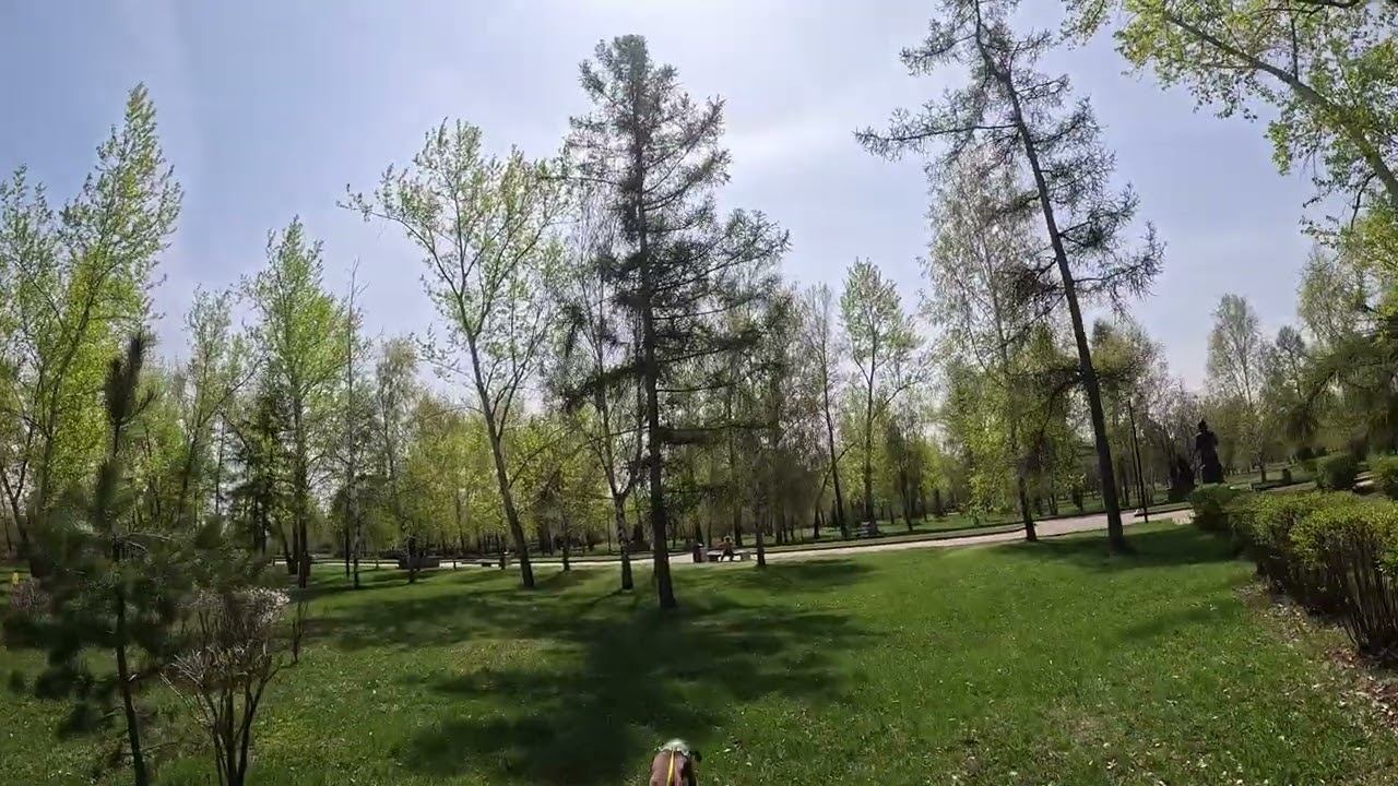 Хоуп.21.05.23. Незнакомый статист, городской парк, острый угол постановки на след. смотреть онлайн
