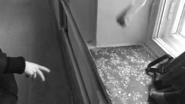 БУТЫЛКА ВОДЫ ЧЕЛЛЕНДЖ - BOTTLE FLIP CHALLENGE смотреть онлайн