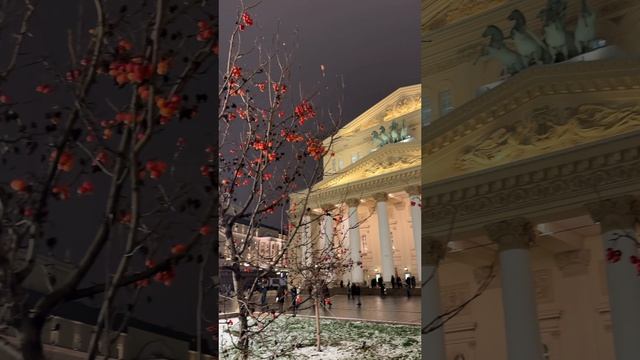 Осталось 34 дня до Нового 2025 года. А ты готовишься к новому году??? смотреть онлайн