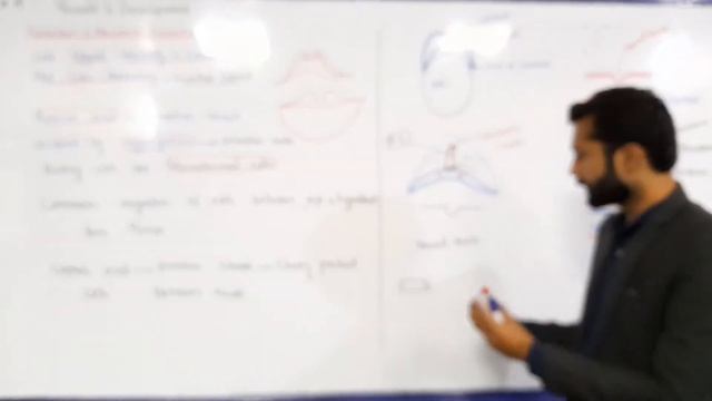 Notochord and Mesoderm Formation смотреть онлайн