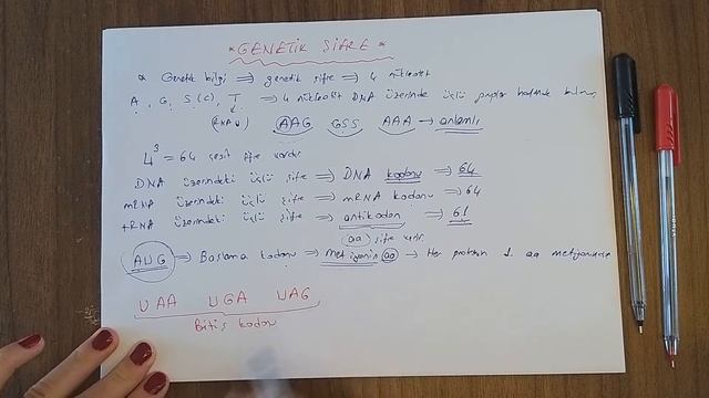 Genetik Şifre ( 12. Sınıf) смотреть онлайн