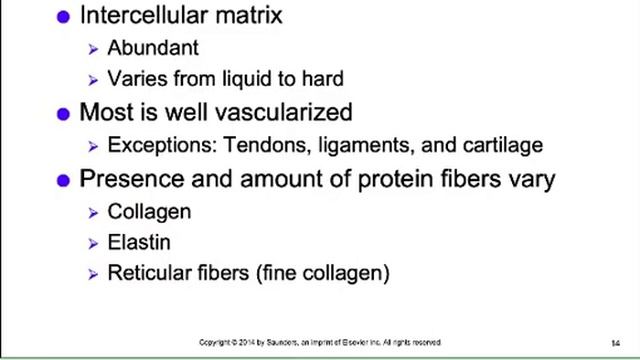 ANA101N Chapter 06 MOD podcastQT смотреть онлайн