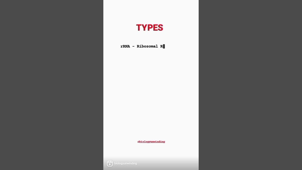 RNA and Types of RNA | #molecularbiology смотреть онлайн