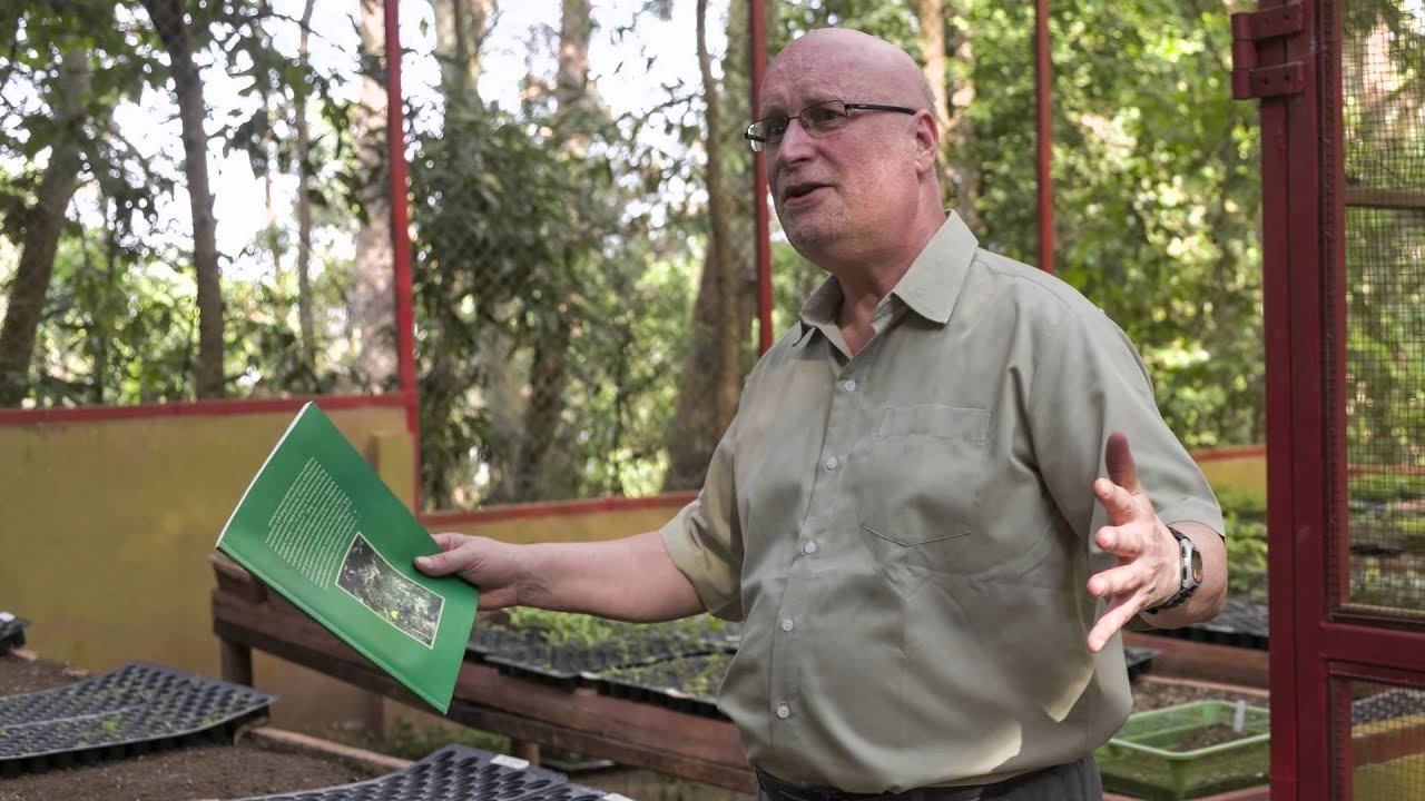 A how-to guide to restoring tropical forest смотреть онлайн