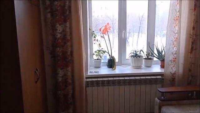 Комната Дзержинского 33Б смотреть онлайн