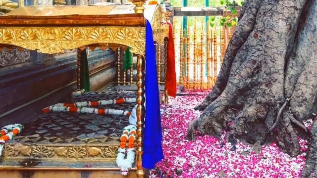 Celebrate Buddha Jayanti 2564 Vesak Day 2020 @MahaBodhi MahaVihara Temple BodhGaya-India May07,202 смотреть онлайн