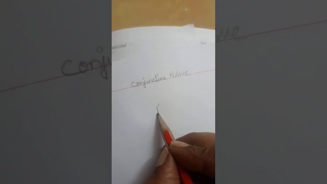 conjunctive tissue смотреть онлайн