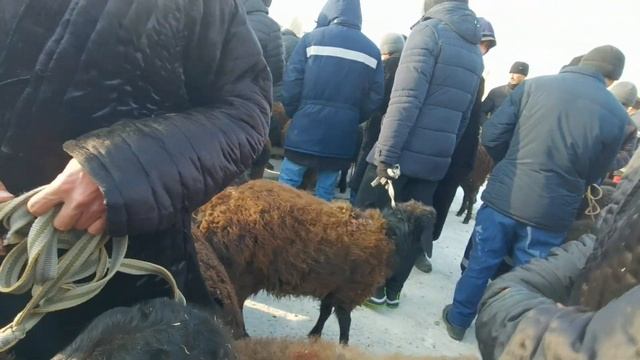 полотхан базары 50 мин сомдук арашан ото чон екен 13.01.23 смотреть онлайн
