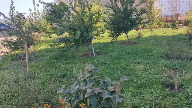 #566.Всю Анапу прошли,Красная площадь.И Закат на море. смотреть онлайн