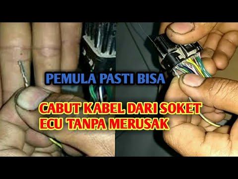 CARA MENCABUT KABEL DARI SOKET ECU TANPA MERUSAK смотреть онлайн