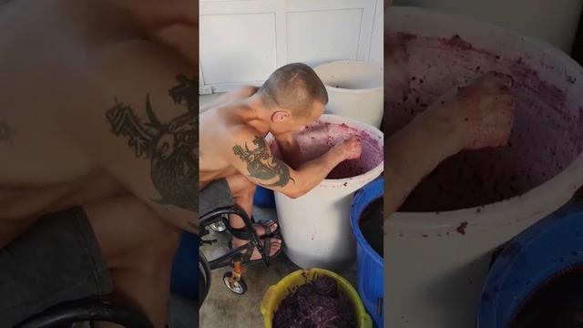 Домашнее вино смотреть онлайн