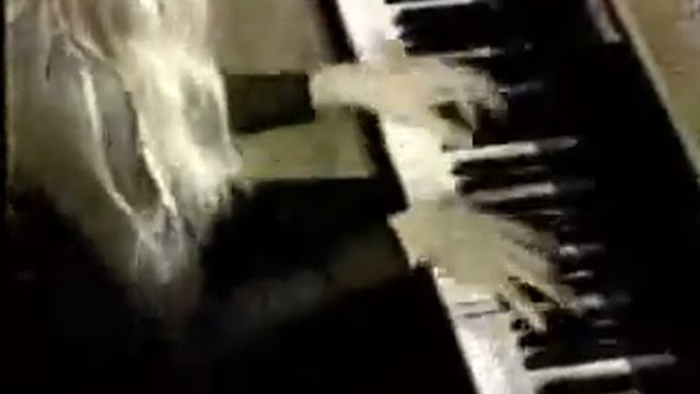 Bizet/Horowitz - Carmen Fantasy (Valentina Lisitsa Piano)
