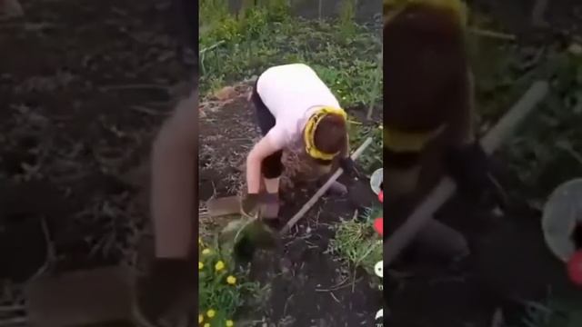 КУПИЛИ ДАЧУ ДЛЯ ОТДЫХА#shots смотреть онлайн