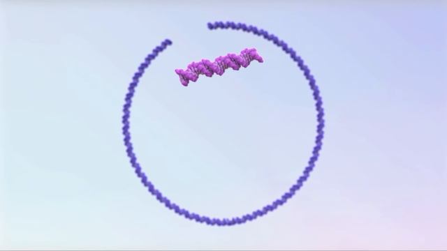 Plasmid Overview смотреть онлайн