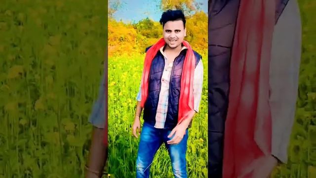 Dil To Pagal Hai Song | Shah RukhKhan, Madhuri, Karisma, Akshay | LataMangeshkar, Udit Narayan смотреть онлайн