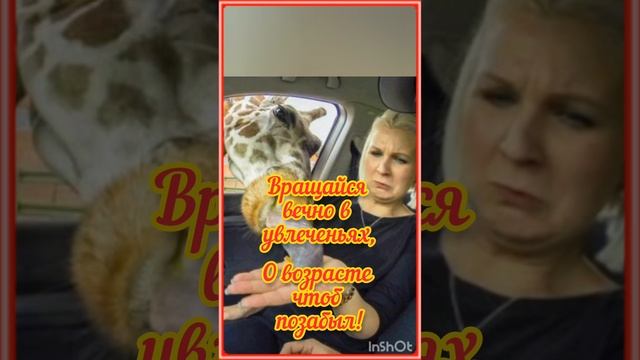 С Днём Рождения, Геннадий Петрович! смотреть онлайн