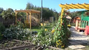 Родительская дача, лето 2018