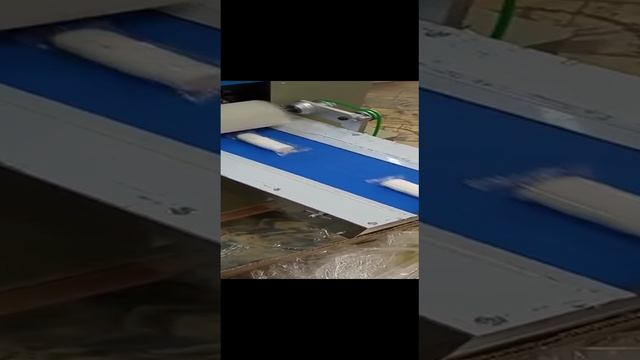 Горизонтальная упаковочная машина DXDZ-250B