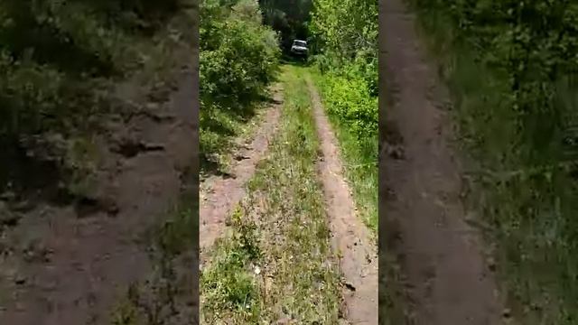 табигатты коргау смотреть онлайн