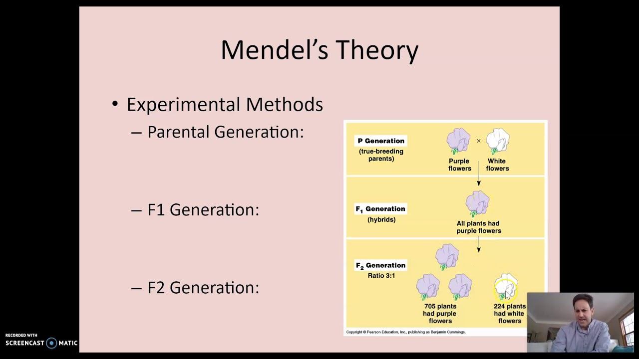 Mendel's Experiments смотреть онлайн