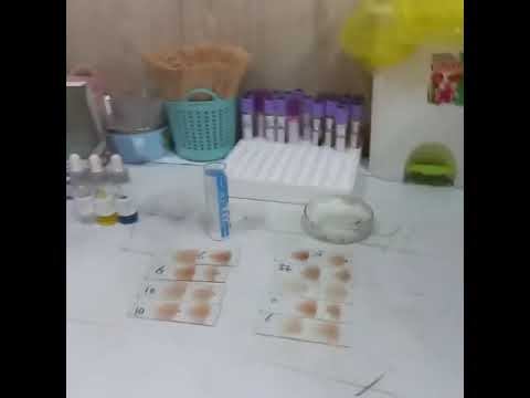 مختبر امراض الدم смотреть онлайн