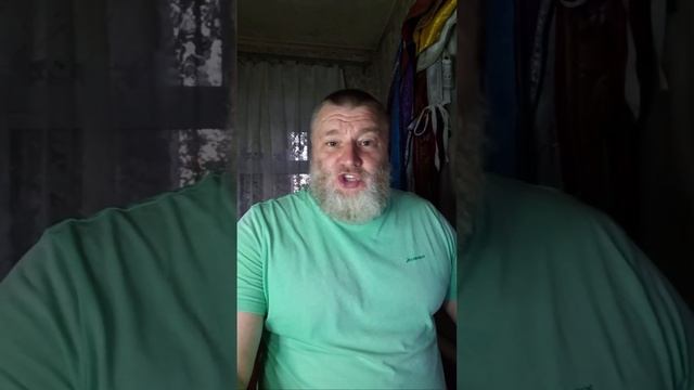 BORODA в СТРИМЕ. Донат 4149629353557218