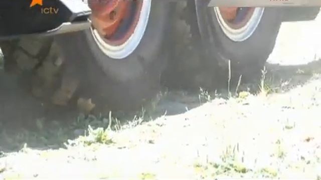 Врятовано кота, який просидів на дереві 4 доби смотреть онлайн