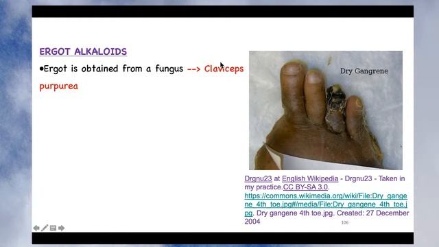 Part VI Autocoids: 5-HT Antagonists | cyproheptadine | Ketanserin | Ergotamine смотреть онлайн