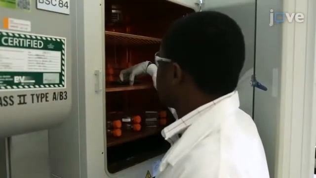 Calcium Flux Assay to Study NMDA-Receptors | Protocol Preview смотреть онлайн